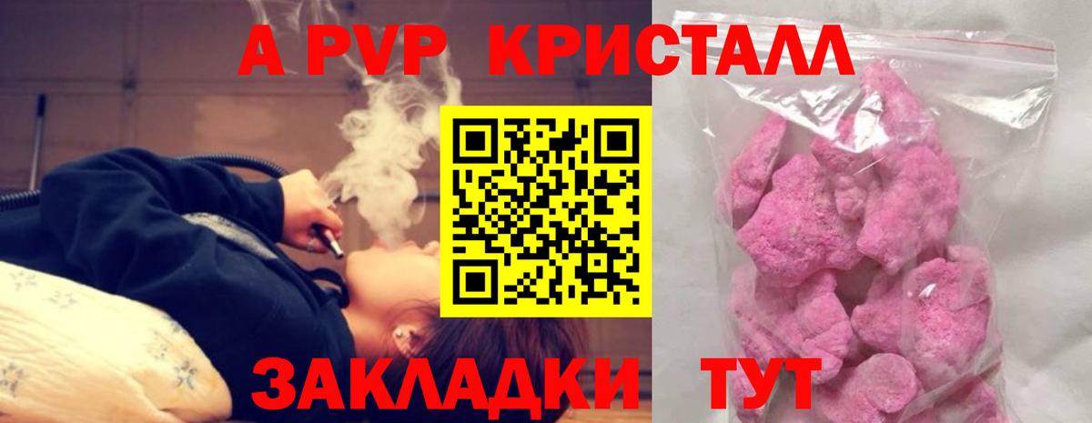 Alfa_PVP СК КРИС Аша